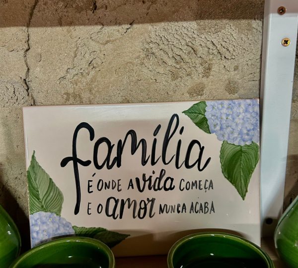 Vida Fortis